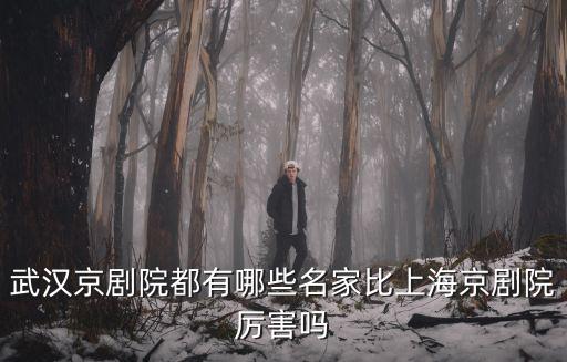 武漢京劇院怎么坐車,武漢京劇院都有哪些名家