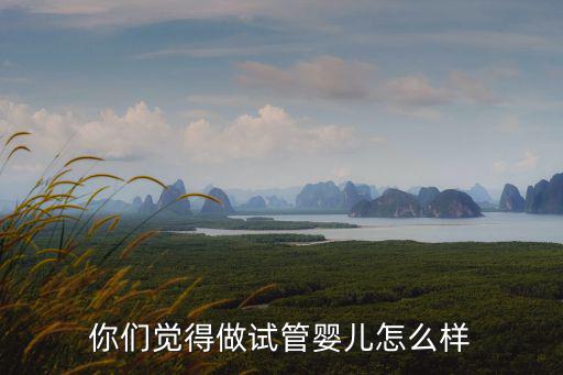 你們覺得做試管嬰兒怎么樣
