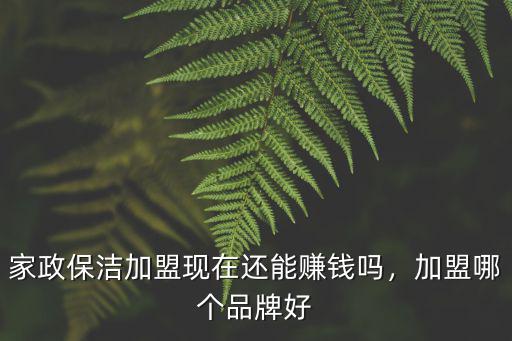 家政保潔加盟現在還能賺錢嗎，加盟哪個品牌好