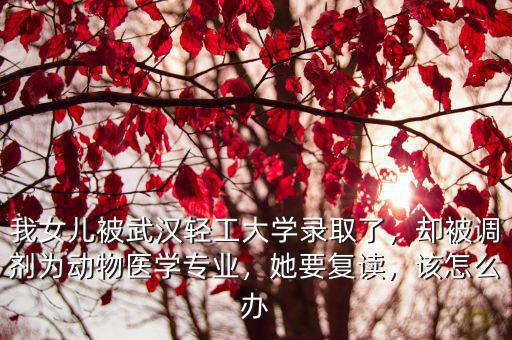 我女兒被武漢輕工大學錄取了，卻被調劑為動物醫學專業，她要復讀，該怎么辦