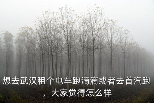 武漢電銷車怎么樣,現(xiàn)在在武漢開滴滴快車怎么樣