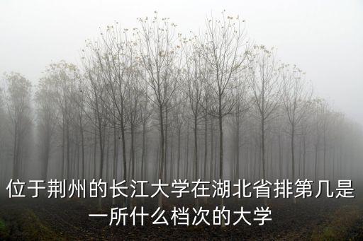 位于荊州的長江大學在湖北省排第幾是一所什么檔次的大學