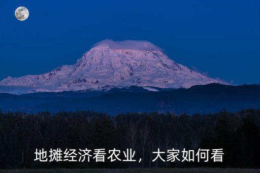 宜昌地攤經濟怎么看,地攤經濟看農業