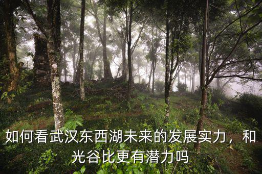 武漢光谷物流怎么樣,武漢國際物流前景怎么樣