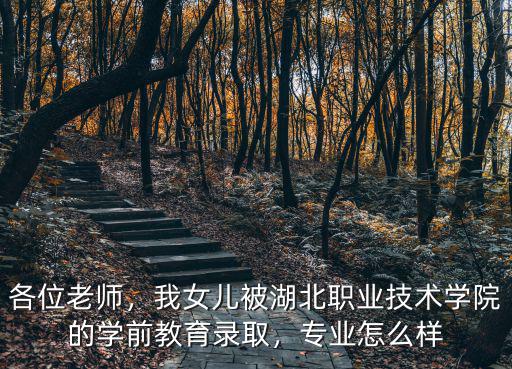 湖北職院就業怎么樣,武漢職業技術學院怎么樣