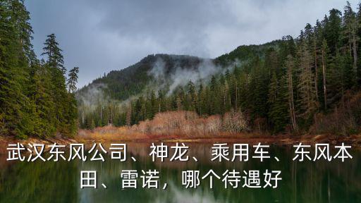 武漢東風(fēng)勞務(wù)工怎么樣,武漢東風(fēng)汽配廠待遇怎么樣