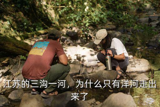 襄陽到江蘇洋河鎮有多遠怎么走,為什么只有洋河走出來了