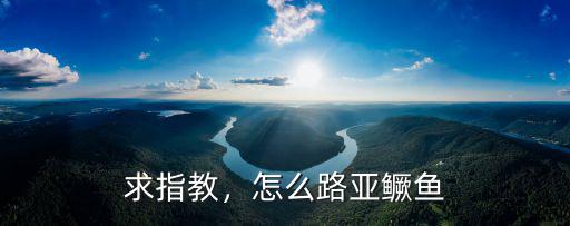 現(xiàn)在武漢怎么路亞不到鱖魚(yú),怎么路亞鱖魚(yú)