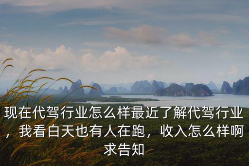 現在代駕行業怎么樣最近了解代駕行業，我看白天也有人在跑，收入怎么樣啊求告知