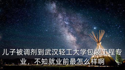 武漢大學印包系就業怎么樣,不知就業前最怎么樣啊
