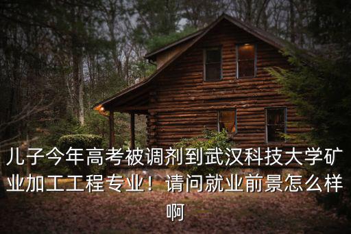兒子今年高考被調劑到武漢科技大學礦業加工工程專業！請問就業前景怎么樣啊