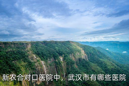武漢市黃埔中醫(yī)院結(jié)合醫(yī)院怎么樣,武漢市有哪些醫(yī)院