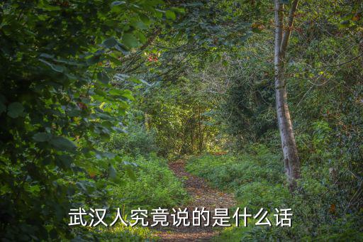 武漢人究竟說的是什么話