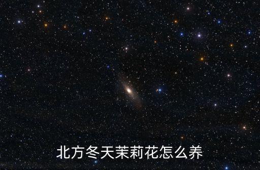 北方冬天茉莉花怎么養(yǎng)