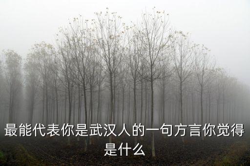 武漢方言的小心怎么說,對于武漢的方言