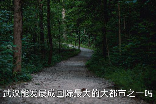 武漢能發展成國際最大的大都市之一嗎