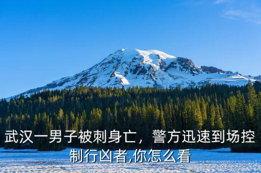 武漢一男子被刺身亡，警方迅速到場控制行兇者,你怎么看