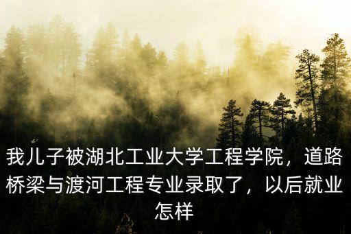 我兒子被湖北工業(yè)大學(xué)工程學(xué)院，道路橋梁與渡河工程專業(yè)錄取了，以后就業(yè)怎樣