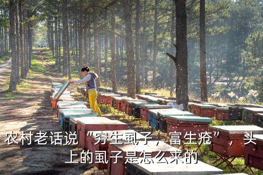 武漢話虱子怎么說,武漢人究竟說的是什么話