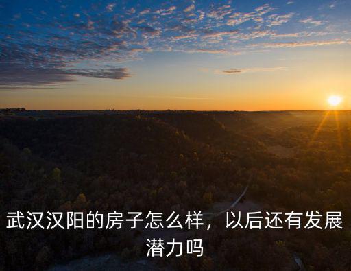 武漢盛禾源怎么樣,武漢漢陽的房子怎么樣