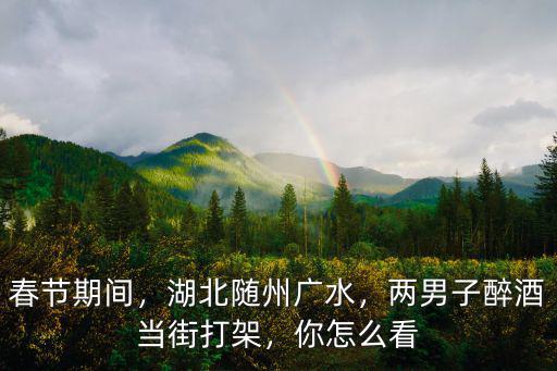 春節期間，湖北隨州廣水，兩男子醉酒當街打架，你怎么看