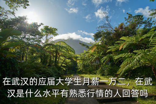 在武漢的應屆大學生月薪一萬二，在武漢是什么水平有熟悉行情的人回答嗎
