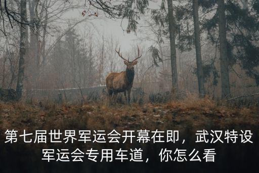 武漢軍運會開幕式片斷怎么寫,2019武漢軍運開幕式