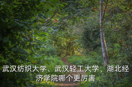 武漢紡織大學、武漢輕工大學、湖北經濟學院哪個更厲害