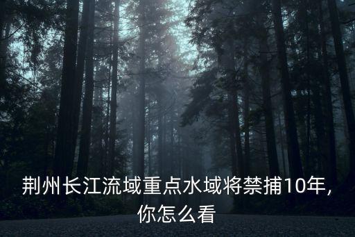 荊州人怎么捕魚,長江禁漁期非法捕魚3人被抓