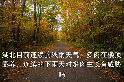 湖北目前連續的秋雨天氣，多肉在樓頂露養，連續的下雨天對多肉生長有威脅嗎