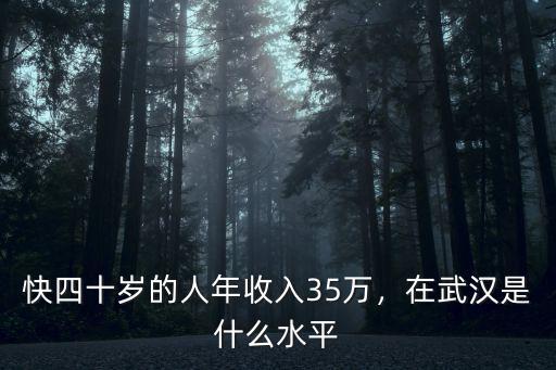 快四十歲的人年收入35萬，在武漢是什么水平
