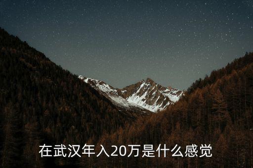 在武漢年入20萬是什么感覺