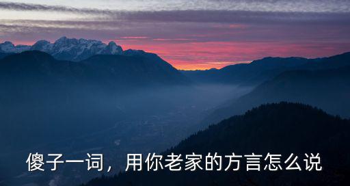傻子一詞，用你老家的方言怎么說