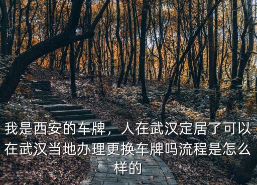 我是西安的車牌，人在武漢定居了可以在武漢當(dāng)?shù)剞k理更換車牌嗎流程是怎么樣的