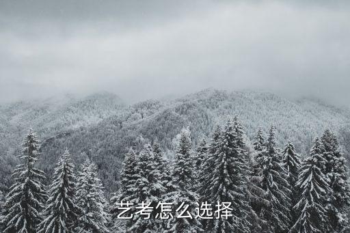 藝考怎么選擇