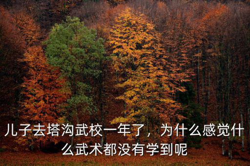 兒子去塔溝武校一年了，為什么感覺什么武術都沒有學到呢