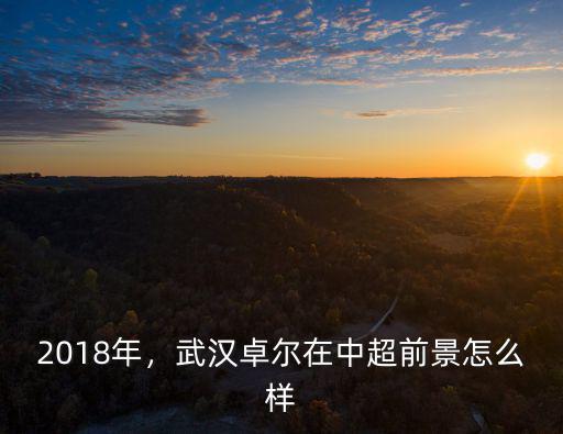2018年，武漢卓爾在中超前景怎么樣