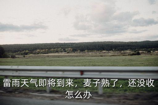 湖北棗陽的小麥都出芽了怎么辦,小麥種深了怎么辦