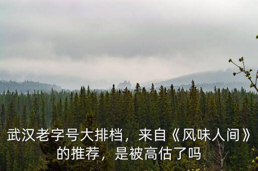 風(fēng)味人間武漢燒鳳爪怎么做,燒椒鳳爪怎么做