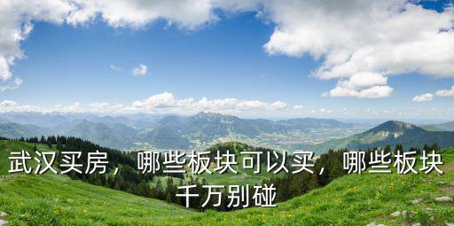 武漢鐘家村板塊怎么樣,武漢青山區的房子怎么樣