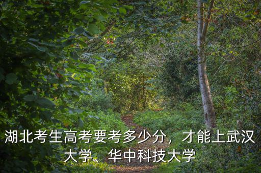 湖北考生高考要考多少分，才能上武漢大學、華中科技大學