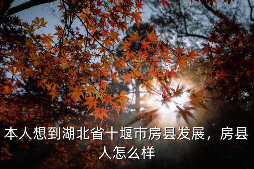 十堰房縣黃酒怎么聯系,十堰房縣黃酒怎么樣