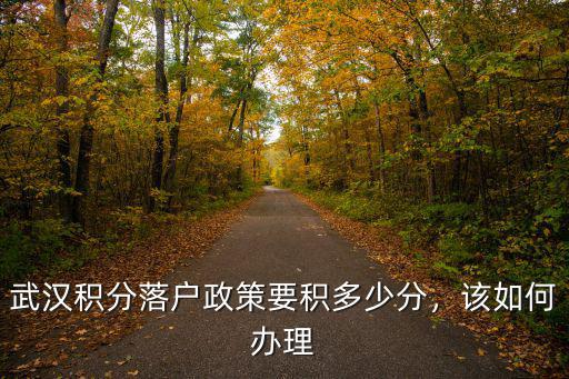 武漢積分落戶政策要積多少分，該如何辦理