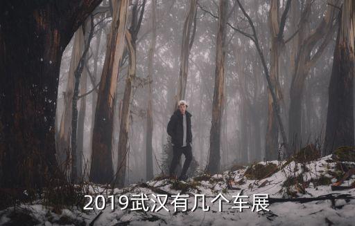 武漢怎么那么多車展,2019武漢有幾個車展