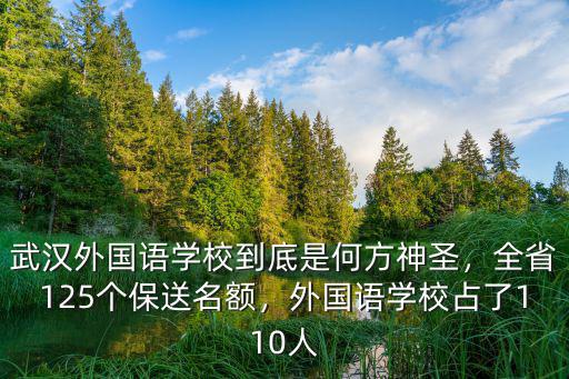武漢外國語學校到底是何方神圣，全省125個保送名額，外國語學校占了110人