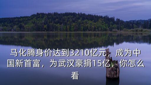 馬化騰身價達到3210億元，成為中國新首富，為武漢豪捐15億，你怎么看
