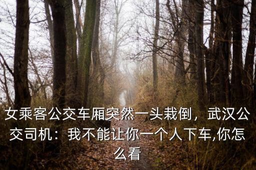女乘客公交車廂突然一頭栽倒，武漢公交司機(jī)：我不能讓你一個(gè)人下車,你怎么看