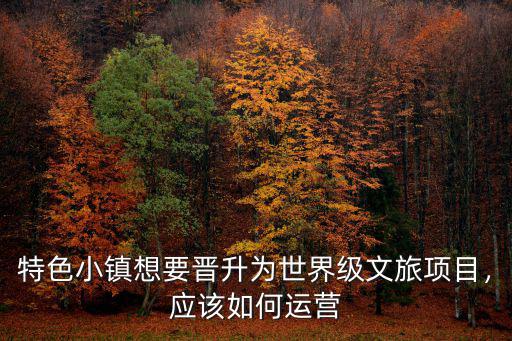 特色小鎮想要晉升為世界級文旅項目，應該如何運營