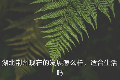 荊州信義怎么樣,你覺得荊州怎么樣