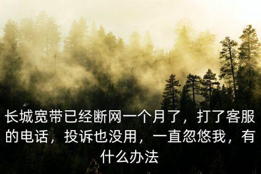 武漢長城寬帶客服電話怎么打不通,打了客服的電話